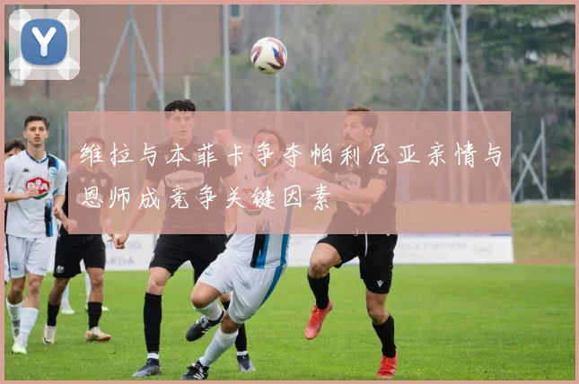 维拉与本菲卡争夺帕利尼亚亲情与恩师成竞争关键因素