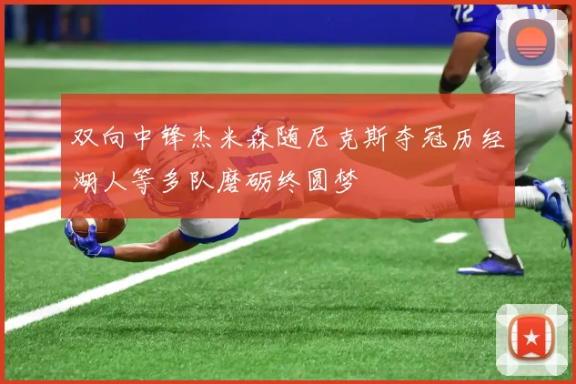 双向中锋杰米森随尼克斯夺冠历经湖人等多队磨砺终圆梦
