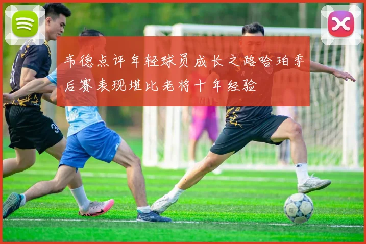 韦德点评年轻球员成长之路哈珀季后赛表现堪比老将十年经验