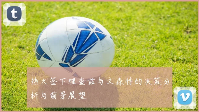 热火签下理查兹与文森特的决策分析与前景展望